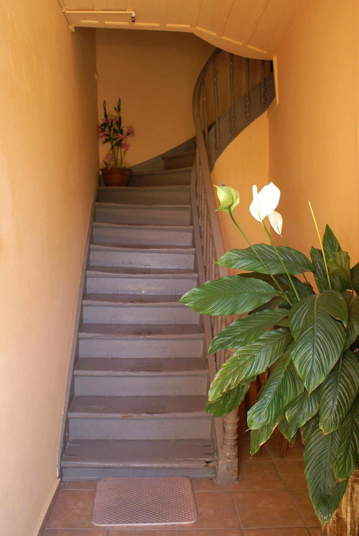 Kydonia Rooms Chania  Exteriör bild